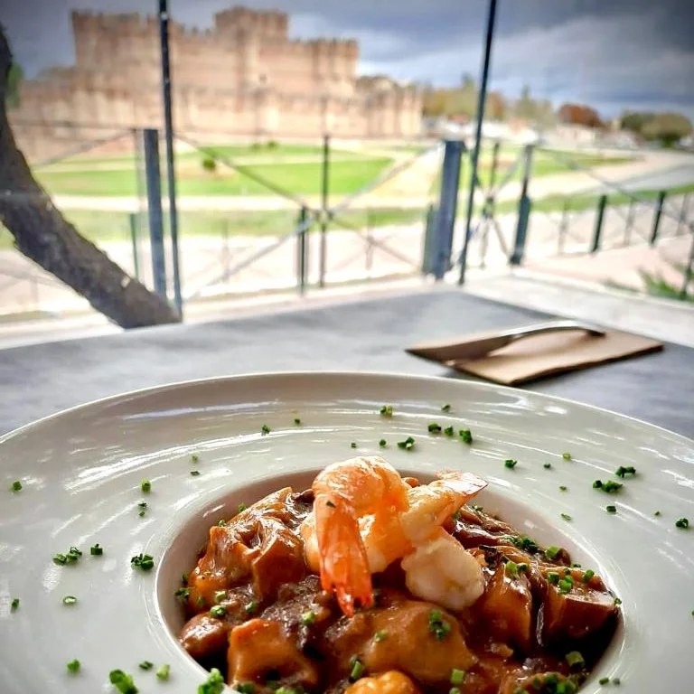 restaurante con vistas al castillo de Coca